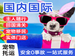厦门机场货运国际宠物托运 【国
